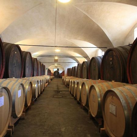 Agriturismo Dominio Di Bagnoli Bagnoli di Sopra Εξωτερικό φωτογραφία
